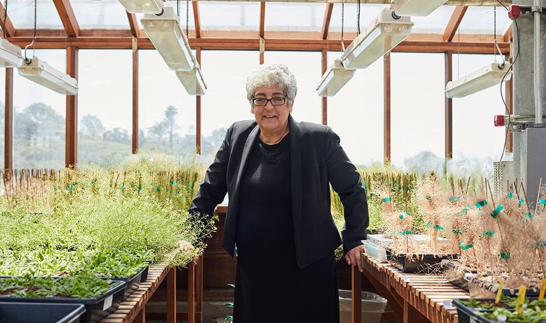 Las biólogas Chory y Myrna Díaz, Premio Princesa de Asturias 2019